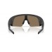 Oakley Meta Vanguard Prizm Черни / Златни 24k